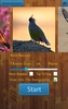 Birds Jigsaw Puzzles Game screenshot 4