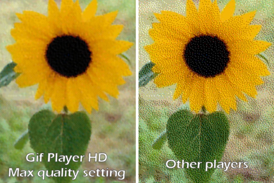 Gif Player HD - Preview 6
