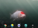 Koi Free HD Live Wallpaper screenshot 1