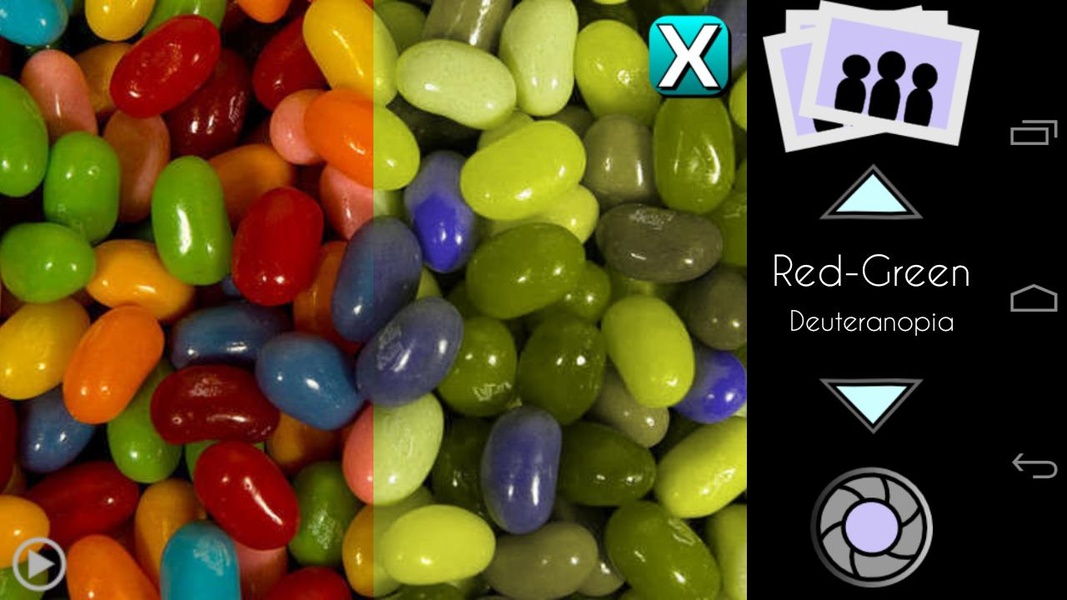 Colorblind Vision (Free) - Preview 4