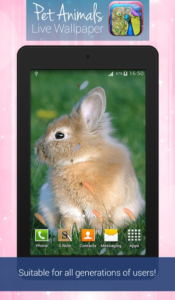 Pet Animals Live Wallpaper - Preview 1