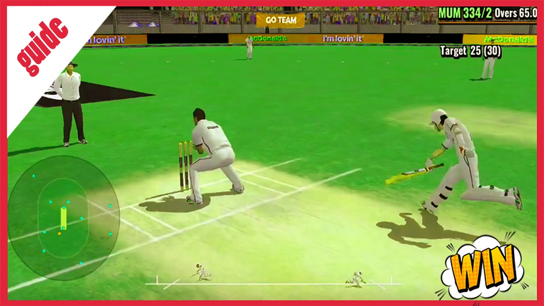 Guide for Saga Cricket Champion - Preview 3