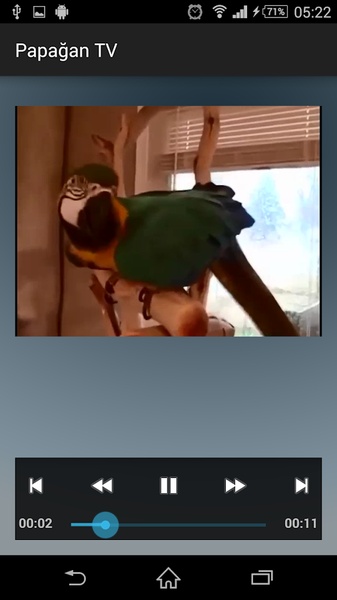 Parrot TV - Preview 5