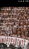 São Paulo Músicas Torcida screenshot 7