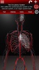 Circulatory System in 3D (Anatomy) screenshot 24