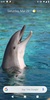 Magic Touch: Dolphins screenshot 6