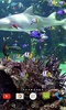 Aquarium 4K Video Wallpaper screenshot 2