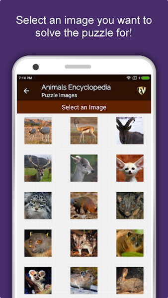 Animals Encyclopedia - Preview 10