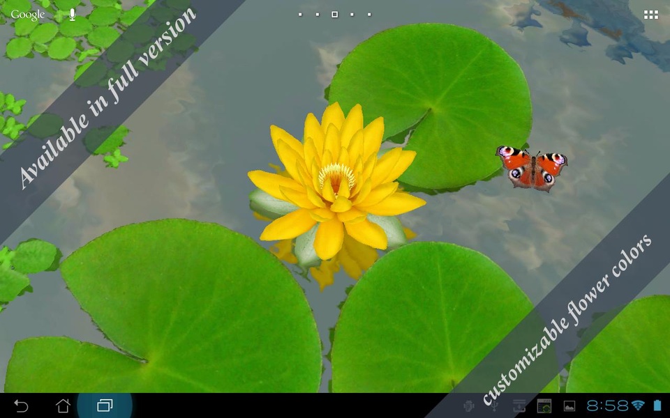 3D Lotus Free - Preview 4