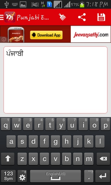 Punjabi Pride Editor - Preview 3