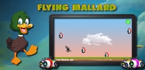 Flying Mallard screenshot 1