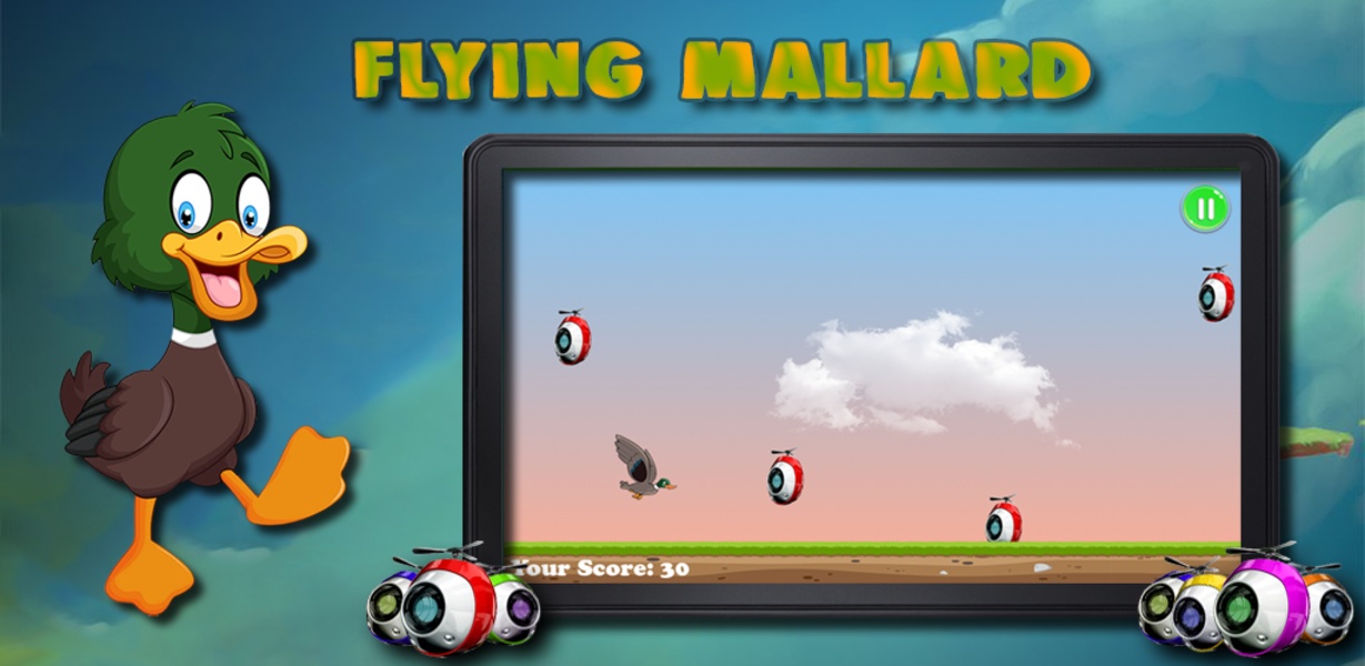 Flying Mallard - Preview 1