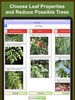 Forest Tree Identification screenshot 5