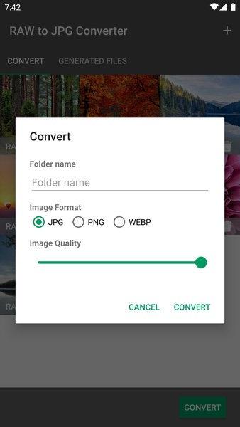 RAW to JPG Converter - Preview 4