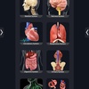 Human Anatomy screenshot 1