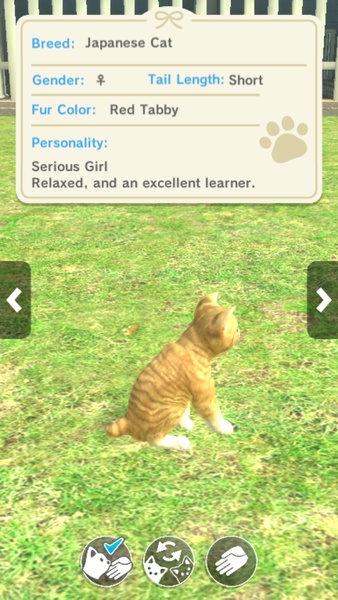 with My CAT - Preview 9