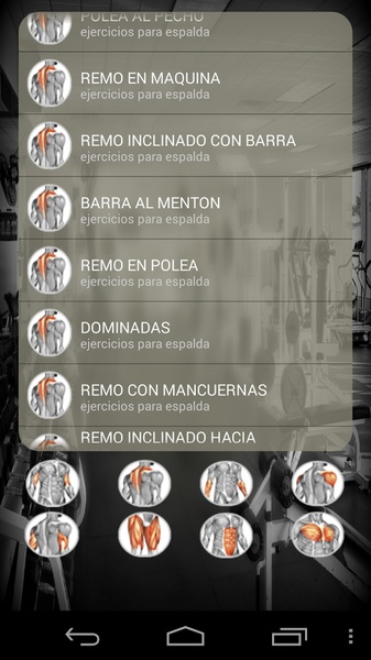 Gym Guia Completa - Preview 4