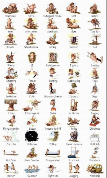 Kamasutra, the Illustrated Guide - Preview 1