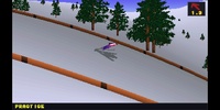 Deluxe Ski Jump 2 screenshot 7