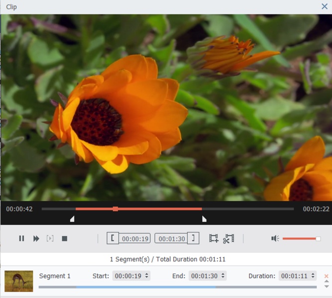 Download VideoSolo Free Video to GIF Converter 1.0.10 for Windows