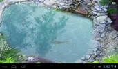 Koi fish pond II screenshot 2