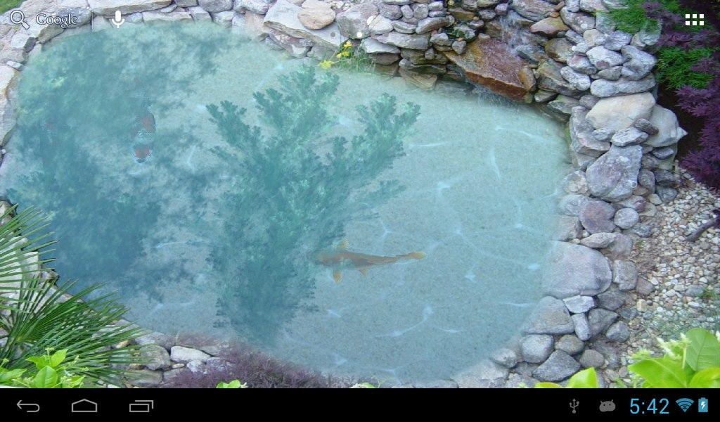 Koi fish pond II - Preview 2