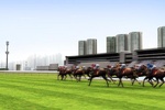 iHorse Betting screenshot 3