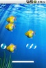Fish Aquarium Livewallpaper screenshot 2