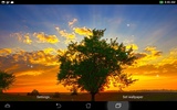 Sunrise Live Wallpaper screenshot 2