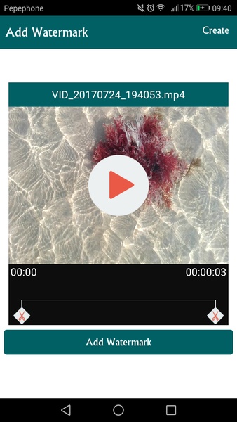 Add watermark to video - Preview 5