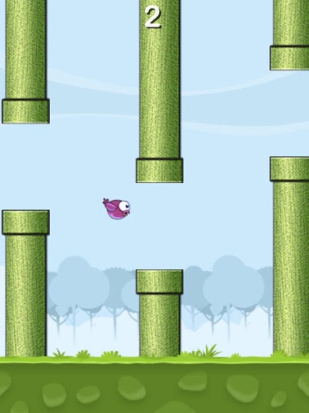 Super idiot Bird - Preview 12