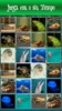 Memory Match Jungle Animals screenshot 6