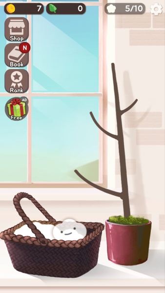 Cotton Tree - Preview 3