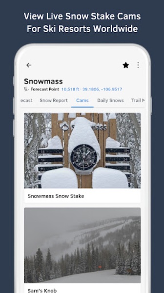 OpenSnow - Preview 1