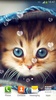 सुंदर बिल्लियों लाइव वॉलपेपर screenshot 16
