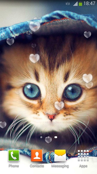 Cute Cats Live Wallpaper - Preview 16