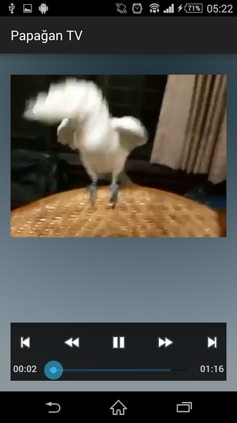 Parrot TV - Preview 2