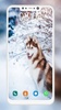 Husky Dog Wallpaper screenshot 2