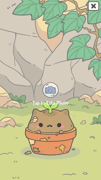 My CatPots - Preview 3