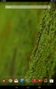 苔 緑色のコケ 壁紙 screenshot 2