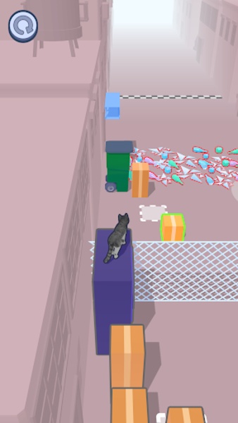 Stray Cat - Preview 1