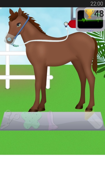 Horse Pregnancy 2 - Preview 1
