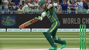 World Champions Cricket Games screenshot 8