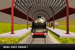Real Passenger Train Driver 3D screenshot 5