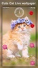 Cute Animated Cat Wallpapers screenshot 6