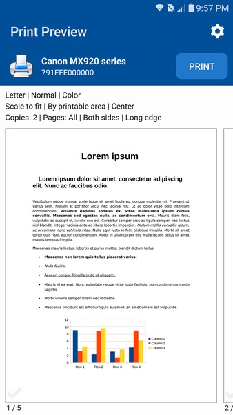 NokoPrint - Preview 3