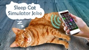 Sleep Cat Simulator Joke screenshot 1