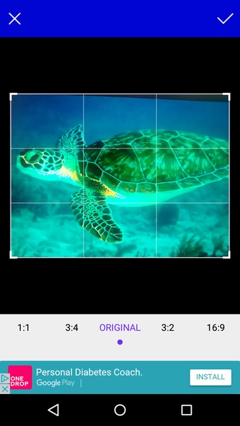 Tijery Remove Background - Preview 12