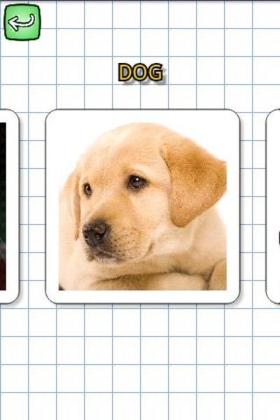 Animals in English - Preview 4