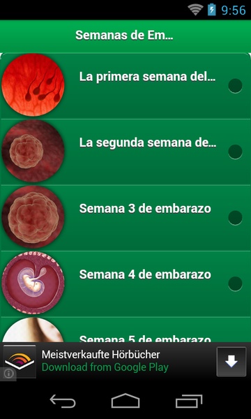 Semanas de Embarazo - Preview 5